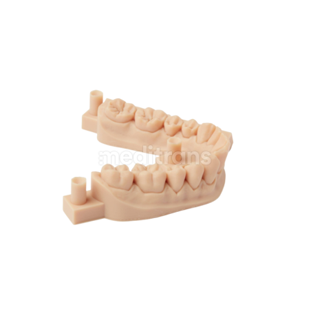 Formlabs Form Żywica do drukarki 3D Dental Model V2 1l