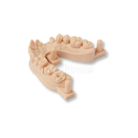 Formlabs Form Żywica do drukarki 3D Dental Model V2 1l