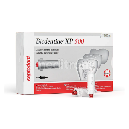 Biodentine XP500